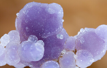 .grape agate mineral specimen stone rock geology gem crystal
