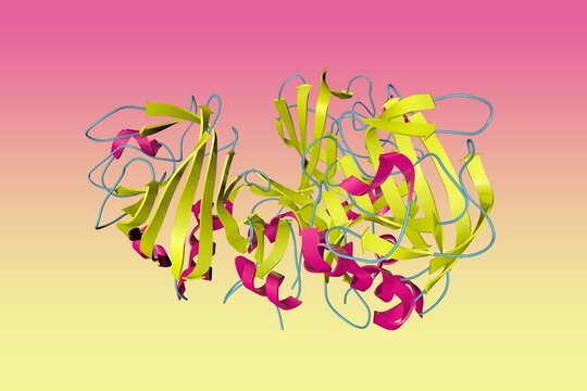 Crystal structure of the fibrinogen-like domain of human angiopoietin-3. Ribbons diagram in secondary structure coloring based on protein data bank. Scientific background. 3d illustration