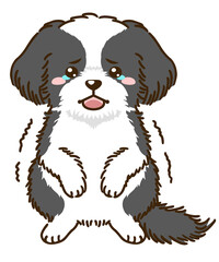 おびえるシーズー（ブラック＆ホワイト）