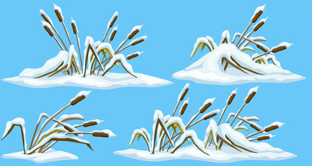 Marsh reed, grass under snow. Swamp cattails winter. Broken weed and snowdrifts. Set of vector bulrush for computer games isolated on blue background. 