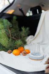 cake with candles stands in front of a tangerine and pine branches