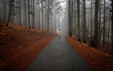 Young woman walking in a rural road in the forest in winter. Troodos Cyprus
