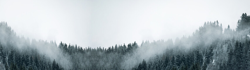 Verbazingwekkende mystieke stijgende mist lucht bos sneeuw besneeuwde bomen landschap sneeuwlandschap in het Zwarte Woud (Schwarzwald) winter, Duitsland panorama banner - mystieke sneeuw stemming