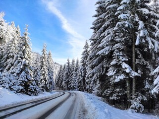 snowy road in a coniferous winter christmas forest on background of a beautiful winter landscape. carpathian mountains. natural park synevyr. ukraine