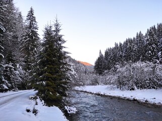 christmas tale. beautiful trees covered with snow against setting sun. carpathians with a mountain stream on a cold snowy day
