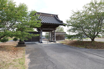 Fototapeta premium 光昌寺