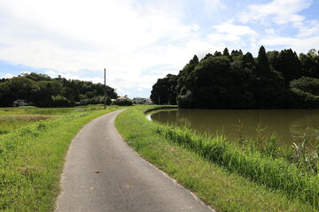 田舎の風景