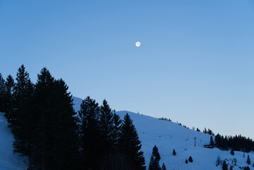 Beautiful morning sky at mountain village Stoos with with moon and fir trees at wintertime. Photo taken December 21st, 2021, Stoos, Switzerland.