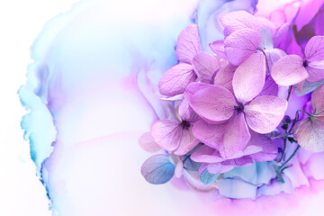 Creative image of pastel violet and pink Hydrangea flowers on artistic ink background. Top view with copy space