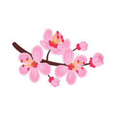 Japanese Sakura Branch Composition