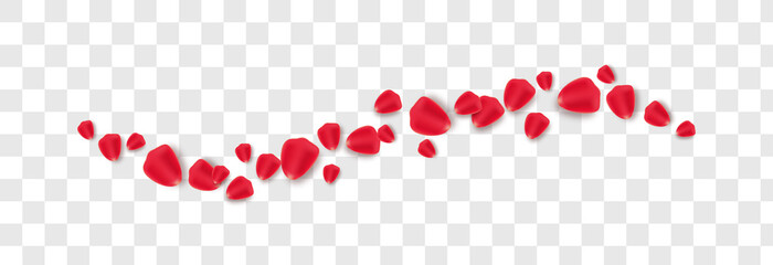 Vector rose petals on isolated transparent background. Petals PNG. Holiday, Valentine's Day.