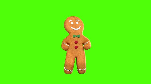 Gingerbread man Dancer 3D animation of funny, hot and sweet cookie boys dancing for holiday and kid event, show, VJ, party, music, website, banner, dvd. Green screen