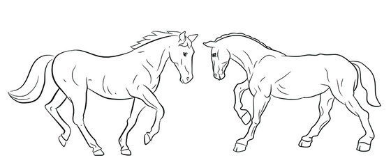 Animals. Black and white image, horse, coloring book for children. Vector drawing.