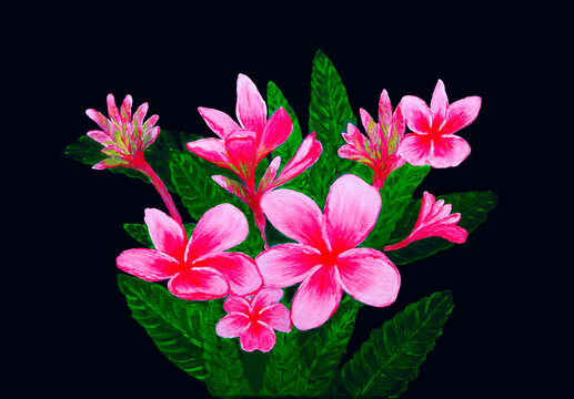 Pink Tropical Flowers With Five Petals