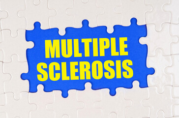 Inside the white puzzles on a blue background it is written - Multiple Sclerosis