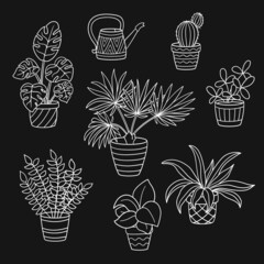 A set of potted indoor plants, white outline on a black background
