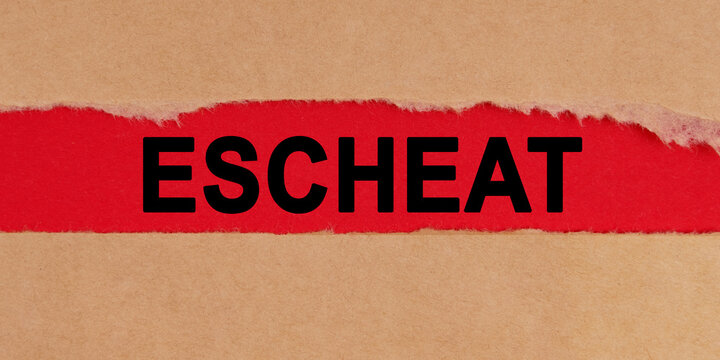 Among the torn sheets of paper on a red background, the inscription - ESCHEAT