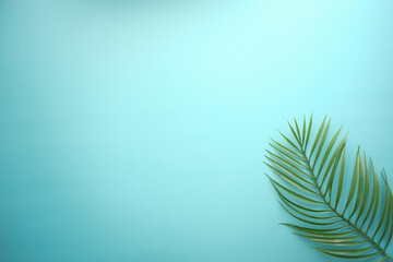 Tropical background i with palm leaf and green color