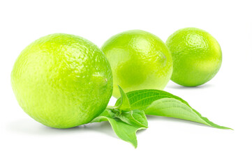 Three citrus limes in row with leaves on a white background