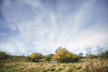 Rural wilderness landscape with colorful trees