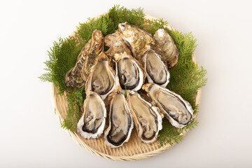 殻付き生牡蠣　(宮城県産)