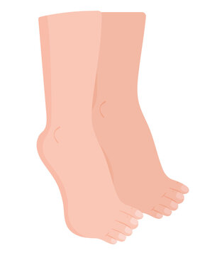 human body part feet