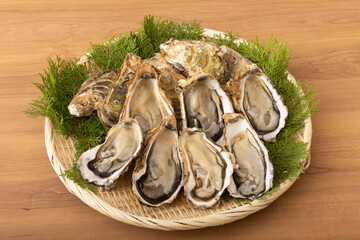 殻付き生牡蠣　(宮城県産)