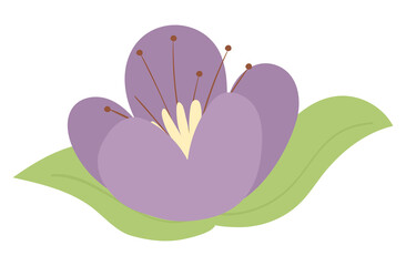 purple flower and leaf