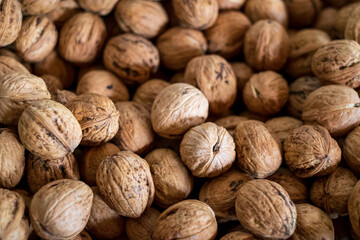 many ripe walnuts. background. close view