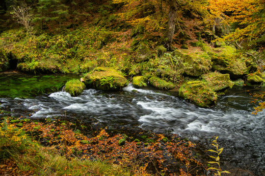 hike through the Kamnitzklamm in autumn