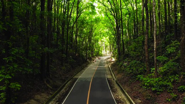 Top view of Asphalt road in Bilar Man-Made Forest area, Philippines.