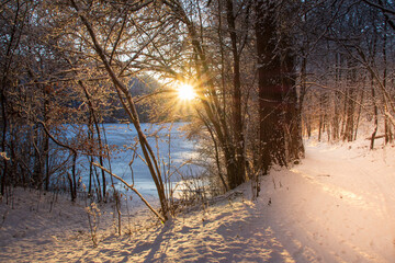 Winter landscape - a snow-covered forest road near the lake