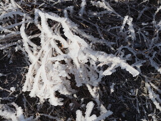 Beautiful snowy winter forest with trees covered with frost and snow close up. Nature winter background with snow-covered branches. white frost on trees, white drifts Road, trail in the winter forest.