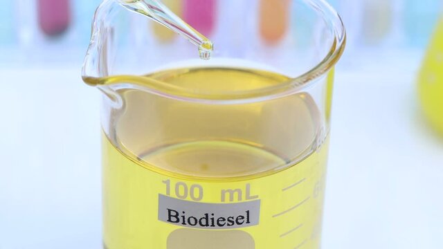 Biodiesel experiments from natural raw materials in the laboratory and environmentally friendly