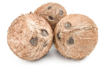 Coconut on a isolated white background