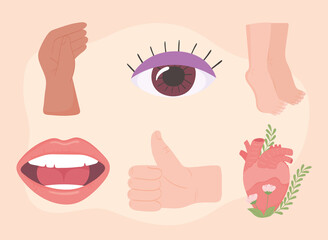 set human body parts