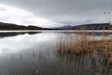 Lake Tislit in Morocco. A view of grass plants growing in the lake under a gray rainy sky