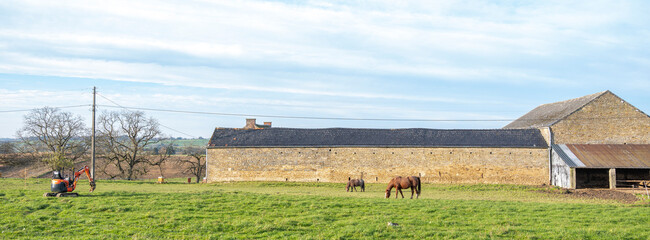 horse and pony near old brick farm in belgian ardennes near namur in the fall