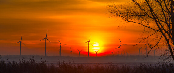 Obraz premium Frosty reed along the edge of a frozen lake in sunlight at sunrise in winter, Almere, Flevoland, The Netherlands, December 22, 2021
