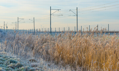 Naklejka premium Overhead line of an electric railway system for trains in a frozen field with reed in winter, Almere, Flevoland, The Netherlands, December 22, 2021