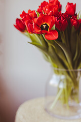 Scandinavian interior design of living room with stylish vase with red tulip bouquet against wall and large window. Copy space. Minimal concept. DIY apartment decor. Spring flower decoration..