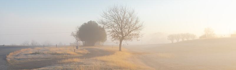 Panoramic scenic view of rural winter landscape in foggy morning with small curved paved road, grassy land and uphill lined tree in distance