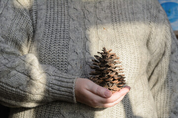 A woman in a knitted sweater holds a pine cone in her hand. Solar lighting. Concept - new year, holiday.