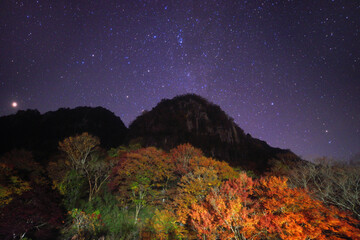 Naklejka premium 秋の深耶馬溪・一目八景から望む星空