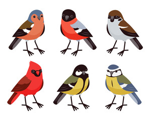 Vector set with cute little birds in cartoon style. Song birds, winter birds. Red cardinal, bullfinch, tit, finch and sparrow. 