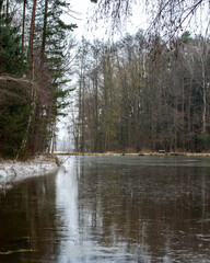 A frozen pond with trees in autumn colors