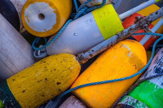 Lobster Buoys - Portland ME