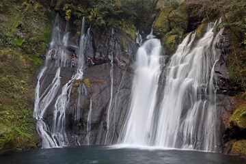 Fototapeta na wymiar 秋の白水の滝