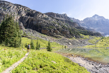 Beautiful green alpine meadow scene with small lake and mountains, British Columbia, Canada 