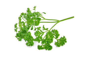 Parsley isolated on white background